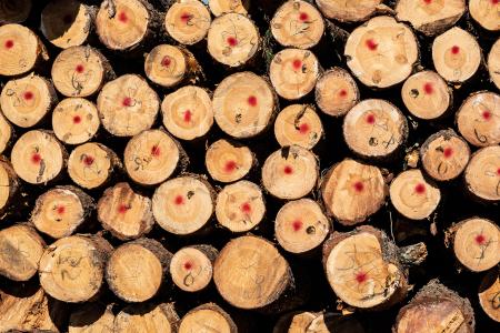 Ukraine DCFTA Support Facility - Loan dedicated to finance eligible trade transactions by SMEs and Mid-Caps acting as exporters or importers in Ukraine
