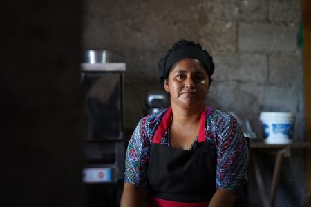 The project consists of a multi-scheme Framework Loan (FL) operation for the implementation of an integrated waste management system (Plan Estructural en Gestión Integral de Residuos Sólidos Urbanos) for the collection, treatment and safe disposal of municipal solid waste generated within the province of Jujuy / Argentina.
