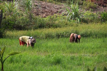 Development of open pit nickel mine in Moramanga and hydrometallurgical processing unit in Taomasina, Mauritania
