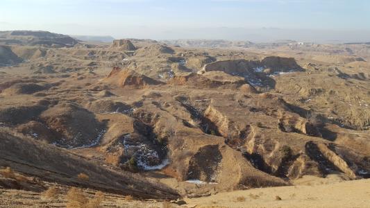 Inner Mongolia Forestry Project - Site visit (the project land where the trees will be planted, if the loan is approved, signed and disbursed
