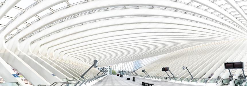 The photogenic Liège-Guillemins railway station is one of the infrastructure projects financed by the EIB. Although not taken during the pandemic, the image of time standing still now seems more relevant than ever. Life put on pause.
