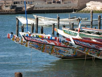 Additional equipment for a seafood preparation, freezing and packing plant in Mauritania
