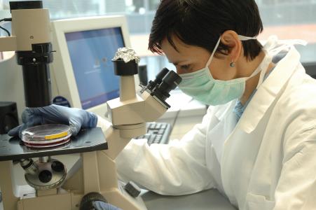 Upgrading of facilities at Masaryk University in Brno
