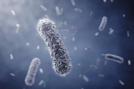 EIB supports Danish biopharmaceutical company AntibioTx in fighting multi-drug resistant bacteria
