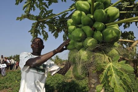 Expansion of a heavy mineral mine located in the north east coast of Mozambique
