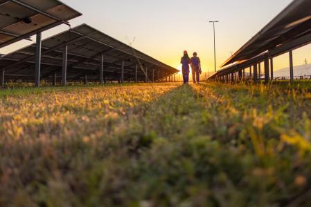 Two coworkers walking and discussing their tasks while surrounded by solar panels.