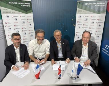 EIB Global pledges €50 million to reforestation fund run by private investment firm Ardian