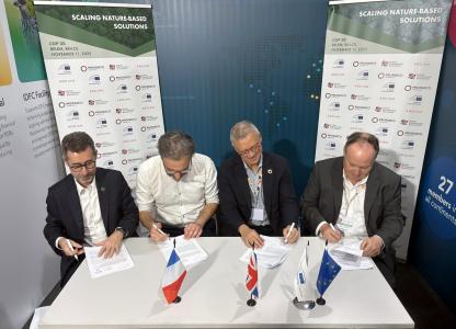 EIB Global pledges €50 million to reforestation fund run by private investment firm Ardian