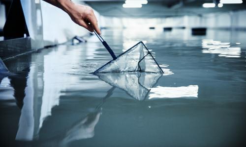 EIB provides Oceanloop with €35 million for its sustainable indoor shrimp farming technology