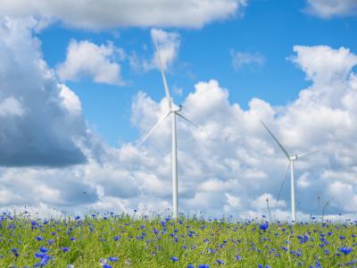 Lithuania: EIB completes €250 million backing for Baltic’s largest wind farm