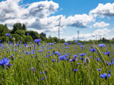 Lithuania: EIB completes €250 million backing for Baltic’s largest wind farm