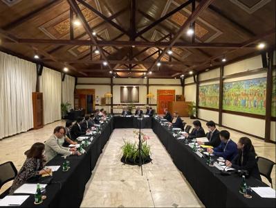 #G20Indonesia : EIB President Hoyer to continue as co-chair of the D20 Long-term Investors Club 