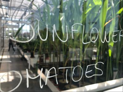 La BEI accompagne la stratégie d’innovation du Groupe Roullier dans la bio économie