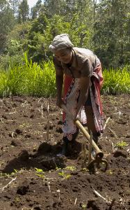 European Microfinance Award 2019