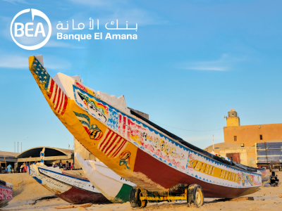 Supporting youth employment in Mauritania