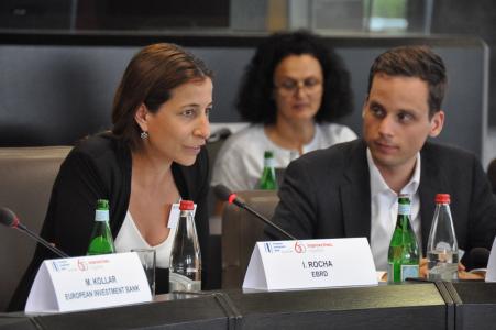 The third meeting of the ‘Vienna Initiative Working Group on IFI instruments supporting investment’ took place at the EIB’s headquarters in Luxembourg.