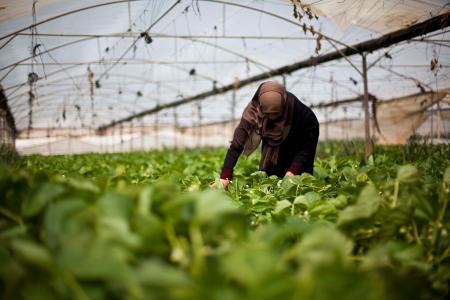 EIB and FATEN support microfinance in Palestine with USD 10 million