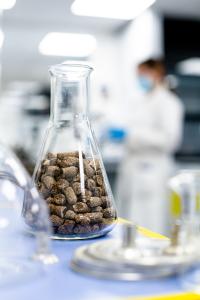 France : la BEI et Avril finalisent un prêt de € 50 millions pour financer la recherche dans la protéine végétale et les matériaux biosources