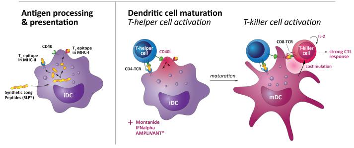 ISA Pharmaceuticals B.V. receives EUR 20m loan from European Investment Bank 