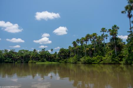 Participation in the Althelia Climate Fund, an investment fund that invests in projects aiming at reducing carbon emission, through tackling deforestation, and supporting sustainable and certified agricultural commodities around the world, with a focus on Africa and Latin America