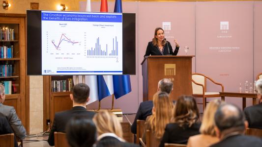 Croatian companies say climate change is negatively affecting business in EIB Investment Survey 2022