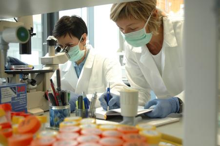 Masaryk University is making considerable financial investments at its new university campus to enhance its research and teaching capacity.