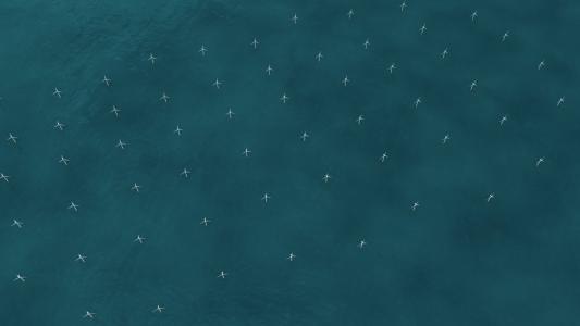 PGE Baltica, as a subsidiary of PGE, is responsible for development of its offshore wind program.