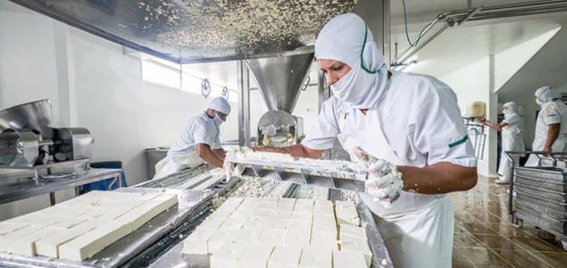 EBRD, European Investment Advisory Hub and European Union launch programme to help businesses from south-eastern Europe obtain advice 