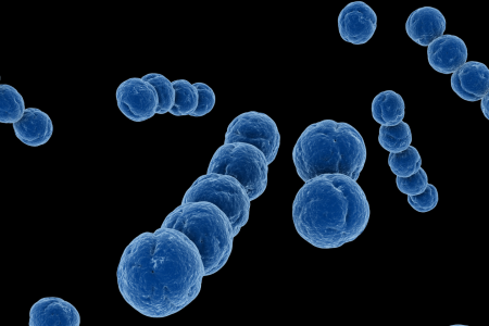 Denmark: EIB supports development of novel maternal vaccine with €50 million loan to Danish Life Science company The EU bank EIB provides a €50 million loan to Danish biotech MinervaX ApS