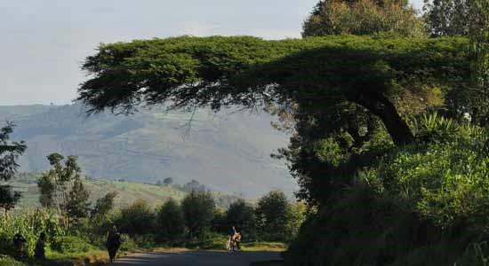 EIB transforming transport in East Africa