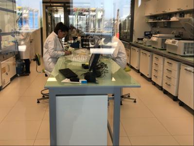 La BEI accompagne la stratégie d’innovation du Groupe Roullier dans la bio économie