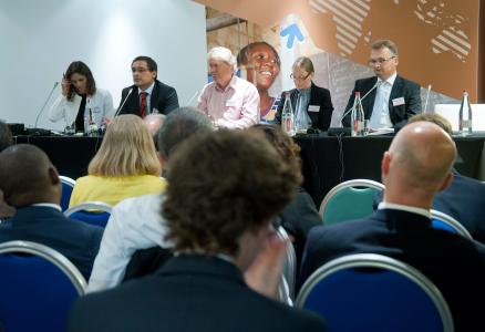 Panel of Plenary Session Sustainable Energy in Africa – Prospects and Limits 