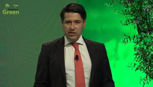 Africa’s green future: sustainable, inclusive and digital 