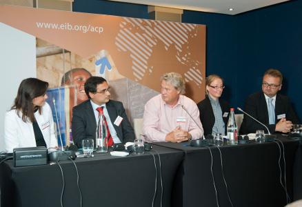 Panel of Plenary Session Sustainable Energy in Africa – Prospects and Limits 