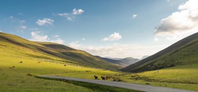 ELENA - Communauté d’agglomération Pays Basque (CAPB)