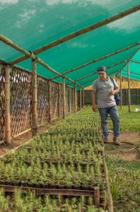 Reforesting degraded land in Latin America to combat climate change
