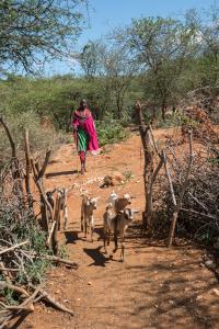 European Microfinance Award 2019