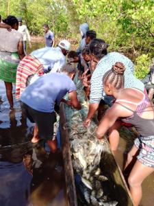 Madagascar Sustainable Agriculture
