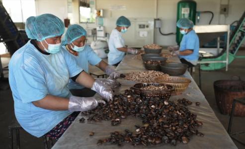 Almost €80 million in EU investment to modernise Cambodia’s agricultural sector and to boost farmers’ access to domestic and global markets 