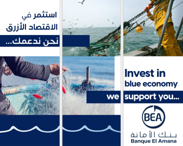 Supporting youth employment in Mauritania