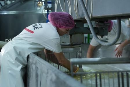 Milk Masters Company is a producer of fresh cheeses in Ukraine. They employ over 70 people. The financing from the EIB Group helped to complete the construction of the new factory, launch it in 2019 and to create new job.
