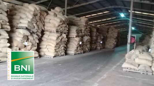 Supporting cocoa agriculture and SMEs in West Africa