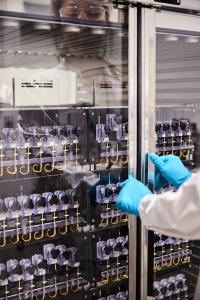 Belgique : la BEI accorde un prêt de 350 millions d’EUR à Umicore à l’appui de ses activités européennes de recherche et d’innovation dans le domaine des matériaux pour batteries de véhicules électriques