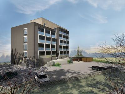 New high-energy performance residential buildings in Finland