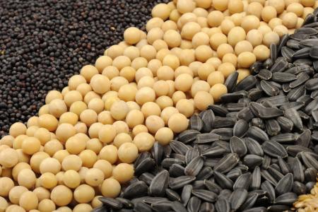 France : la BEI et Avril finalisent un prêt de € 50 millions pour financer la recherche dans la protéine végétale et les matériaux biosources