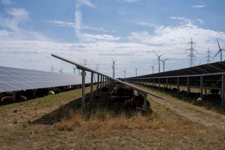 Austria: EIB supports PÜSPÖK with €80 million for agrivoltaics