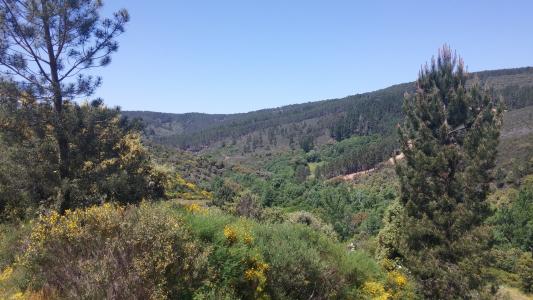 New Rewilding Europe Capital loans to enable transformative rewilding projects in Finland and Portugal 