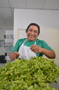 Bandesal Sustainable Energy and COVID-19 SMES