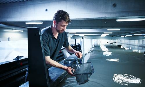 EIB provides Oceanloop with €35 million for its sustainable indoor shrimp farming technology