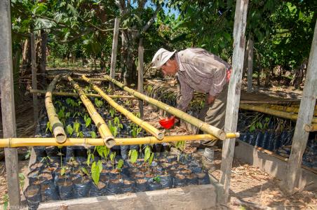 Participation in the Althelia Climate Fund, an investment fund that invests in projects aiming at reducing carbon emission, through tackling deforestation, and supporting sustainable and certified agricultural commodities around the world, with a focus on Africa and Latin America